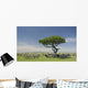 Herd Zebra Serengeti Wall Decal