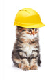 Construction Worker Kitty Cat Wall Decal