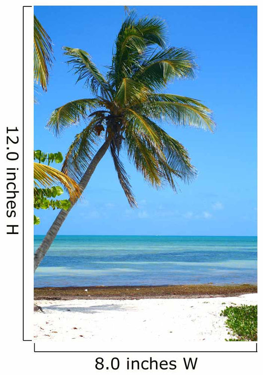 Palm Tree Beach Wall Decal Design 2