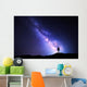 Milky Way Night Sky Wall Decal