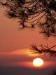 Sunset Wall Decal Design 8