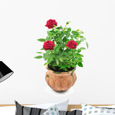 Red Roses Pot Wall Decal shown on a wall