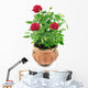 Red Roses Pot Wall Decal