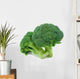 Broccoli Wall Decal