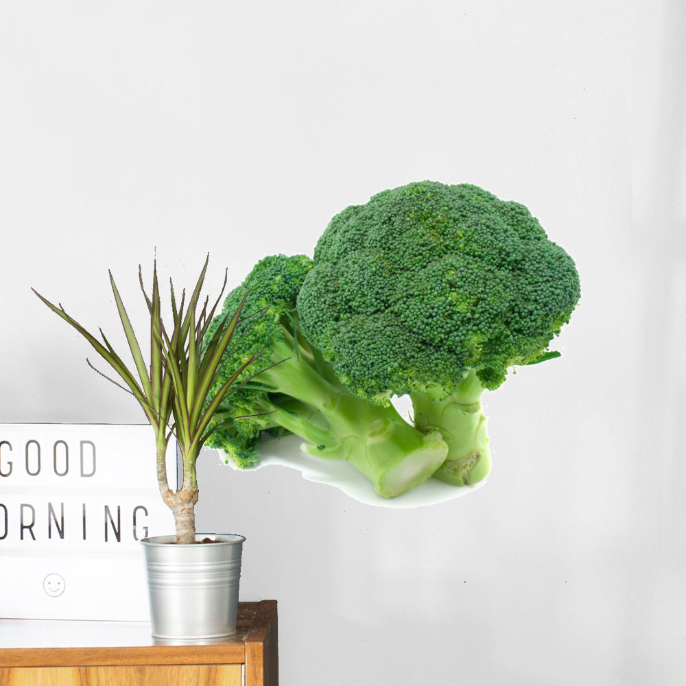 Broccoli Wall Decal - WallMonkeys.com – Wallmonkeys