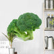 Broccoli Wall Decal