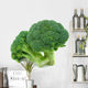 Broccoli Wall Decal