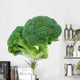 Broccoli Wall Decal