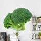 Broccoli Wall Decal