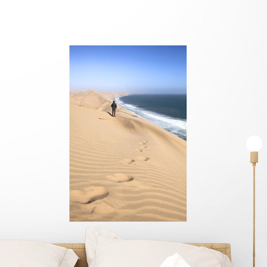 Landscape Sandwich Harbor Namibia Wall Decal