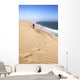 Landscape Sandwich Harbor Namibia Wall Decal