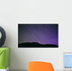 Star Trails Night's Sky Wall Decal