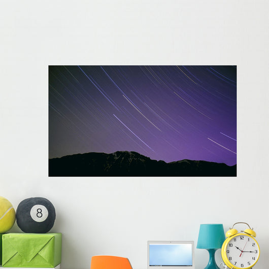 Star Trails Night's Sky Wall Decal