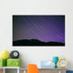 Star Trails Night's Sky Wall Decal