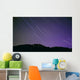 Star Trails Night's Sky Wall Decal