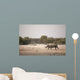 Black Rhino Etosha National Wall Decal