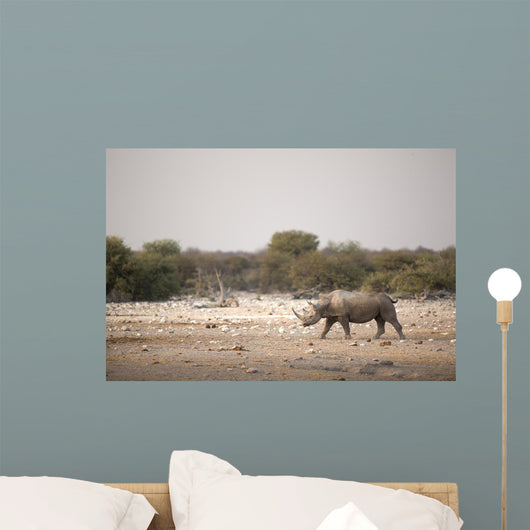 Black Rhino Etosha National Wall Decal