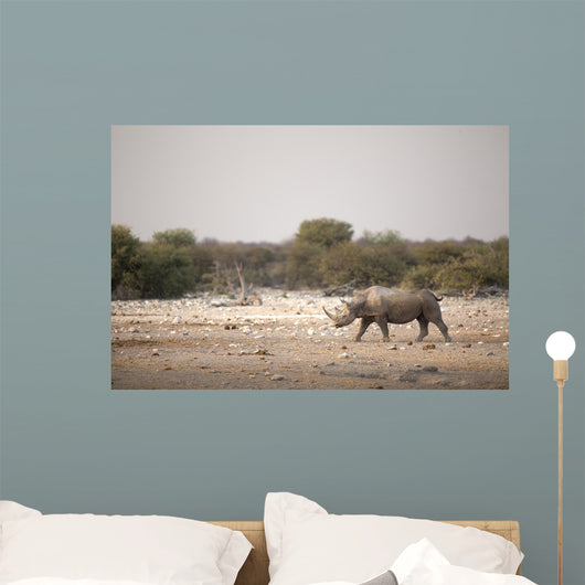 Black Rhino Etosha National Wall Decal
