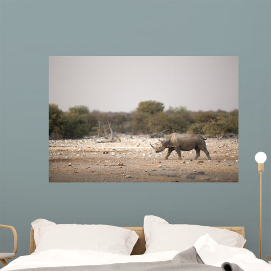 Black Rhino Etosha National Wall Decal