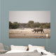 Black Rhino Etosha National Wall Decal