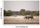 Black Rhino Etosha National Wall Decal
