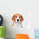 Beagle Dog Portrait Wall Decal