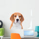 Beagle Dog Portrait Wall Decal
