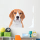 Beagle Dog Portrait Wall Decal