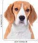 Beagle Dog Portrait Wall Decal