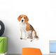 Beagle Dog Wall Decal