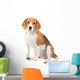 Beagle Dog Wall Decal