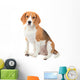 Beagle Dog Wall Decal