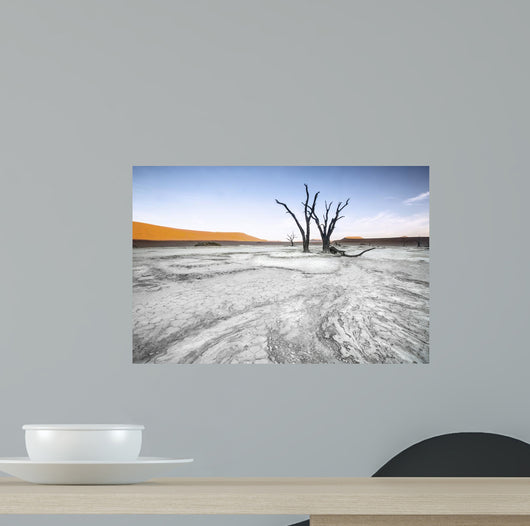 Trees Deadvlei Area Sossusvlei Wall Decal