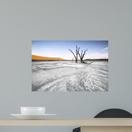 Trees Deadvlei Area Sossusvlei Wall Decal
