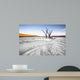Trees Deadvlei Area Sossusvlei Wall Decal