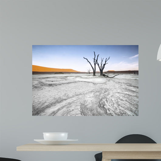 Trees Deadvlei Area Sossusvlei Wall Decal