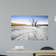 Trees Deadvlei Area Sossusvlei Wall Decal