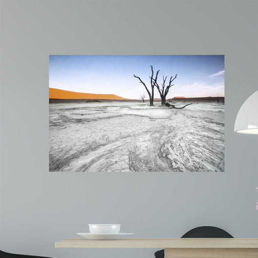 Trees Deadvlei Area Sossusvlei Wall Decal