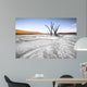 Trees Deadvlei Area Sossusvlei Wall Decal