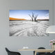 Trees Deadvlei Area Sossusvlei Wall Decal
