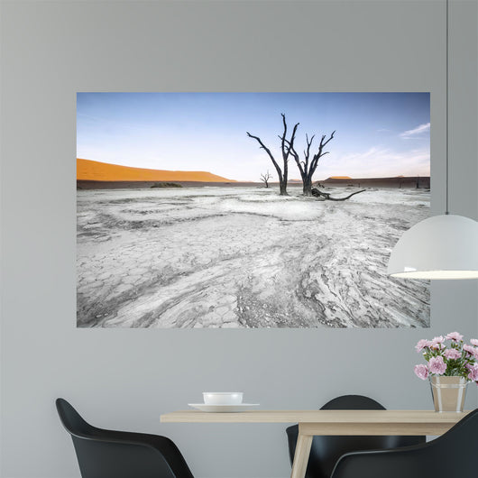 Trees Deadvlei Area Sossusvlei Wall Decal