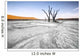 Trees Deadvlei Area Sossusvlei Wall Decal