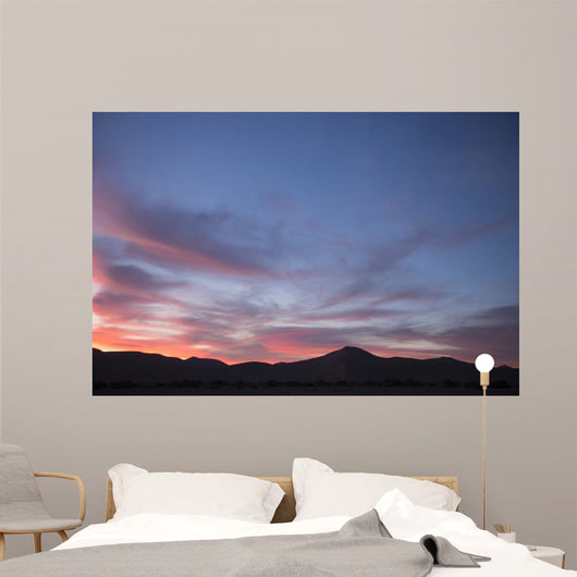 Landscape Sossusvlei Namibia Wall Decal Design 1