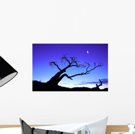 Silhouette Tree Wall Decal