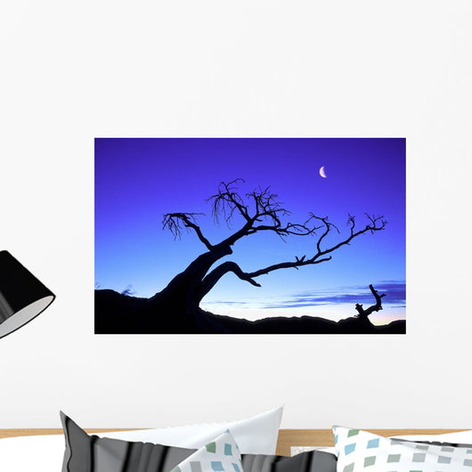 Silhouette Tree Wall Decal