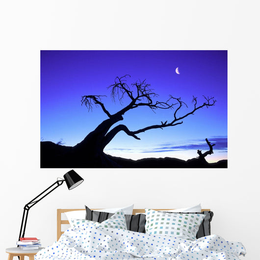 Silhouette Tree Wall Decal