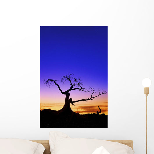 Silhouette Tree Sunset Wall Decal Design 1
