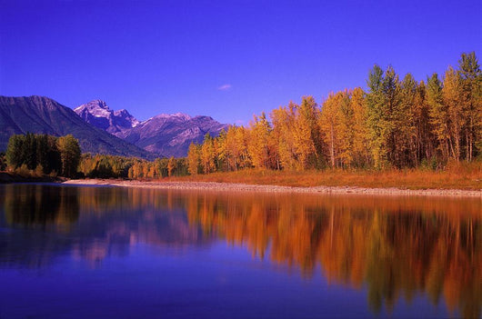 Elk River Autumn with Wall Decal