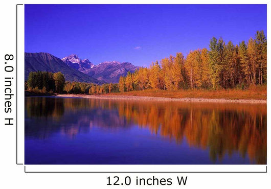 Elk River Autumn with Wall Decal