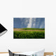 Charentais Landscape Wall Decal